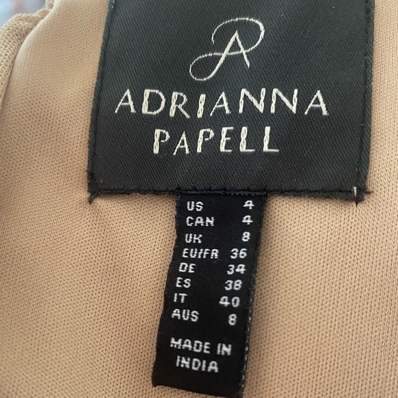 Adrianna Papell —Filigree Beaded Blouson Dress with V Neck in Champagne - Picture 4 of 4